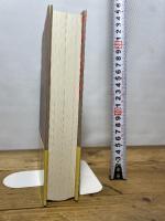 ロバート・アルドリッチ大全 国書刊行会 アラン・シルヴァー