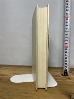 アイデンティティ差異: 他者性の政治 岩波書店 ウィリアム・E.コノリー