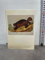 野生の思考 みすず書房 クロード・レヴィ=ストロース