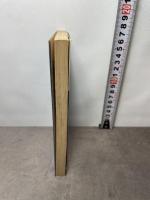 相対論的量子論: 重力と光の中にひそむ「お化け」 (ブルーバックス 470) 講談社 中西 襄