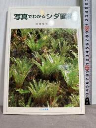 写真でわかるシダ図鑑 トンボ出版 池畑 怜伸