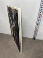 仮面ライダー555ファイル: 公式TVドラマブック 講談社