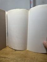 ユニクロ監査役実録: 知られざる増収増益の幕開け ダイヤモンド社 安本 隆晴