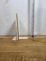 ブラック・レイン (スクリーンプレイ・シリーズ 60) フォーイン CRAIG BOLOTIN