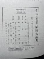 現代四柱推命学活用大辞典 京都書院 亀石 がい風