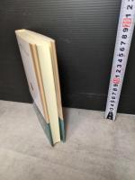 新版 現代イギリス経済学の群像: 正統から異端へ 岩波書店 根井 雅弘