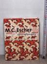 M. C. Escher: Visions of Symmetry Thames & Hudson Ltd Schattschneider, Doris