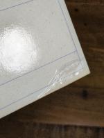 まぬけのウィルソンとかの異形の双生児 マーク・トウェインコレクション (1) 彩流社 マーク・トウェイン