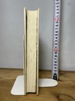 閃光の救済シリーズ 1 たま出版 円 ソウ作