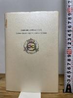 閃光の救済シリーズ 2 たま出版 當山 開楽