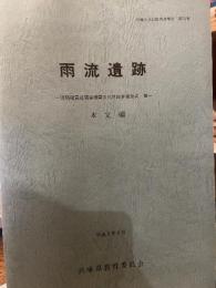 雨流遺跡　淡路縦貫道関係埋蔵文化財調査報告書　Ⅶ　本文編