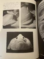 面打ち入門 (1976年)