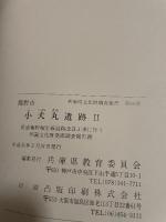 龍野市小犬丸遺跡2:県道竜野相生線道路改良工事に伴う埋蔵文化財発掘調査報告書