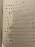 草戸千件町遺跡　第11次～１４次発掘調査概要