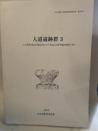 大道遺跡群3  大分駅周辺総合整備事業に伴う埋蔵文化財発掘調査報告書 6