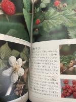 山菜と木の実の図鑑 ポプラ社 おくやま ひさし