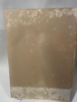 兵庫県埋蔵文化財調査年報  昭和58年度  箕谷2号墳出土銘文太刀  1986.3  兵庫県文化協会