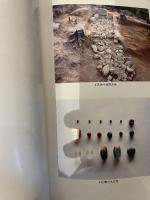 龍野市文化財調査報告書 V  鳥坂古墳群  1984  兵庫県龍野市教育委員会