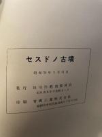 セスドノ古墳  福岡県田川市伊田所在古墳の調査  田川市文化財調査報告書  第3集  1984  田川市教育委員会