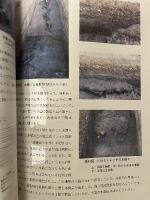 玉津田中遺跡  調查概報】  1984  新教育委員会