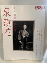 別冊太陽 泉鏡花 美と幻影の魔術師 (別冊太陽 日本のこころ 167) 平凡社 別冊太陽編集部
