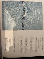 東山魁夷の世界 美術年鑑社 東山 魁夷