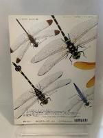 月刊 たくさんのふしぎ　空とぶ宝石トンボ　1993年 07月号（第100号） [雑誌]
