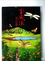 盲滅法―深沢七郎対談集 (1971年)