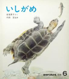 いしがめ（月刊予約・科学絵本かがくのとも 1977年6月号・通巻99号） [雑誌] 金尾 恵子; 内田 至［監修］