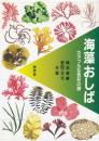 海藻おしば: カラフルな色彩の謎 横浜 康継; 野田 三千代