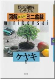 ケヤキ (図解 群境介のミニ盆栽―野山の自然をインテリアに) 境介, 群