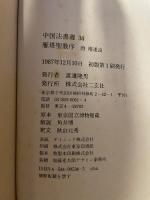中国法書選３４  唐褚遂良  雁塔聖教序