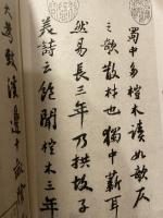 中国法書選 40  宋  蘇軾集