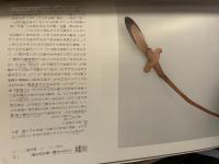 第６１回　正倉院展　平成21年