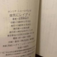 強気にレイディ (1985年) (サンリオニューロマンス)