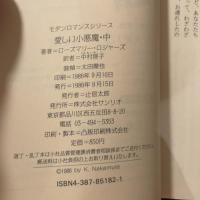 愛しい小悪魔　上中下　3冊組