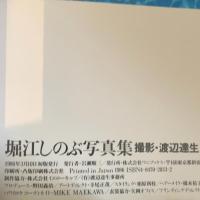 写真集 堀江しのぶ あっ夢感