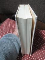 三鏡 : 出口王仁三郎聖言集