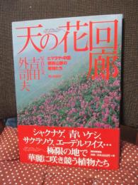 天の花回廊 : ヒマラヤ・中国横断山脈の植物たち