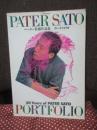 ポートフォリオ : ペーター佐藤作品集 20 years of Peter Sato