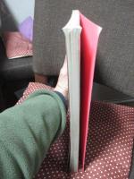 ポートフォリオ : ペーター佐藤作品集 20 years of Peter Sato