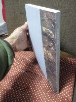 宮崎進の世界 : もうひとつのシベリア