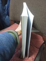 徳岡神泉展 : 生誕100年記念