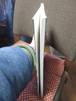 Zone : 不穏な時代の透視者たち