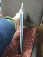 ヤンメイズとりゅう : 中国の昔話