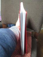 東アジア海域史研究における史料の発掘と再解釈 : 古地図・偽使史料・文学表現 (課題番号：17320093)