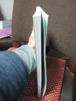 近代日本の大縮尺都市図に関する基礎的研究 (課題番号：13480016)