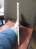 赤いかささーしてた女の子