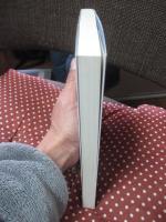 虐待を受けた子どもの回復と育ちを支える援助