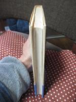 ベトナムから来た聖少女 : ホー・ティ・キューの青春日記